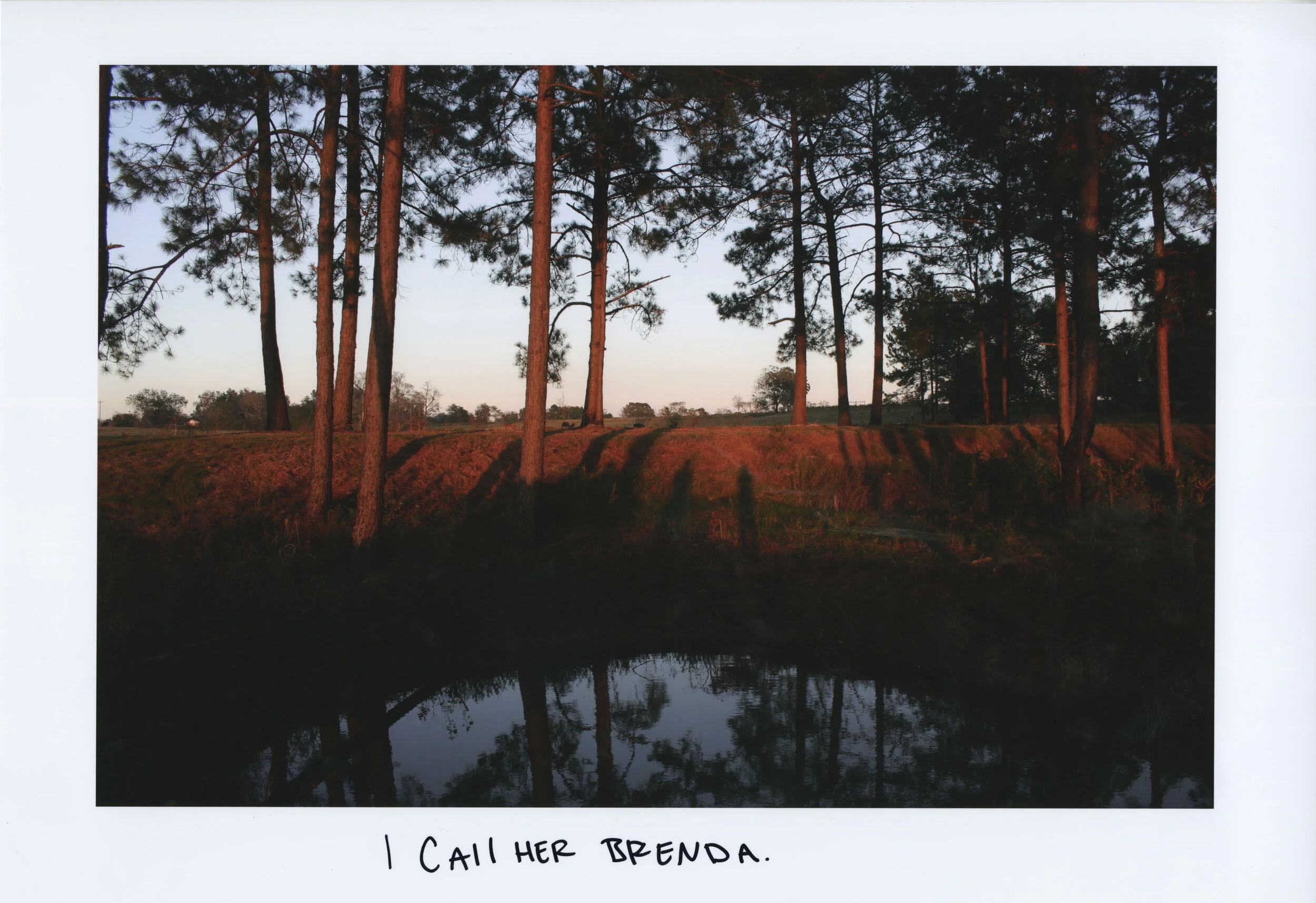 i call her brenda.jpg