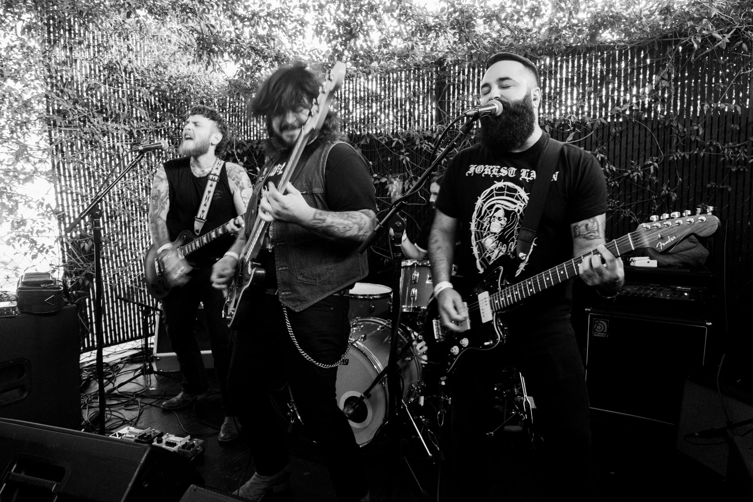 echorise-34.jpg