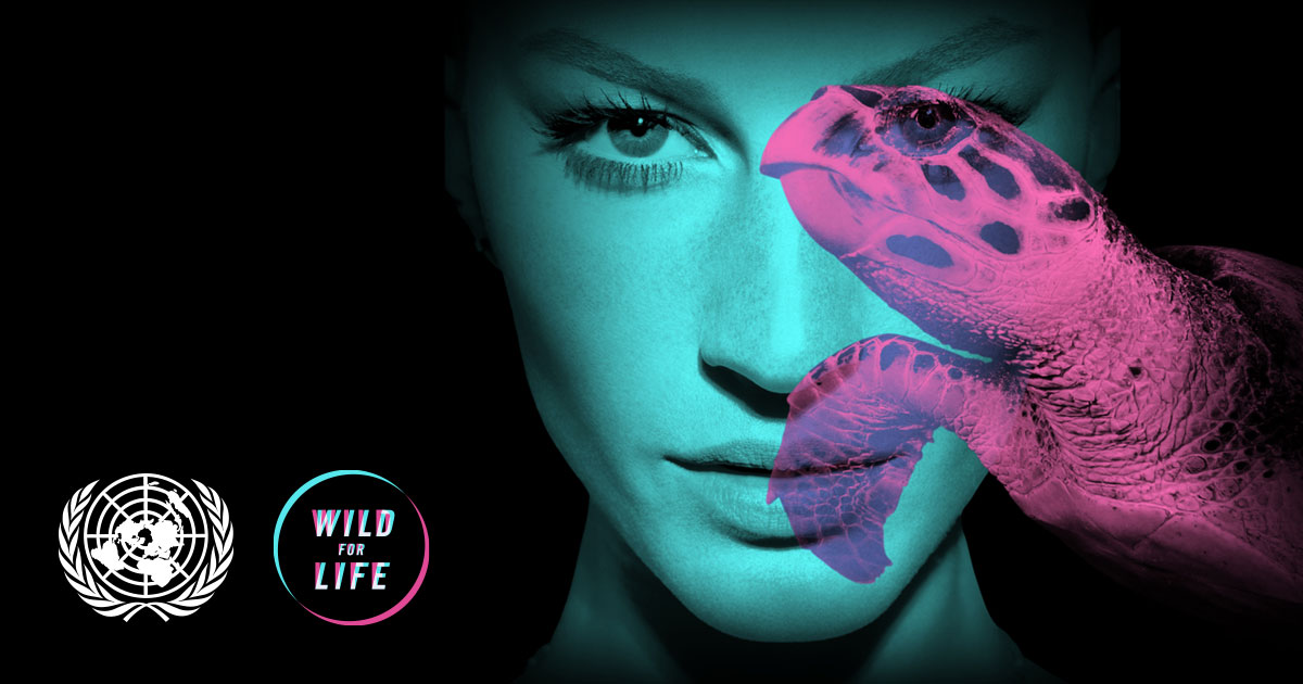 UNEP — Wild for Life