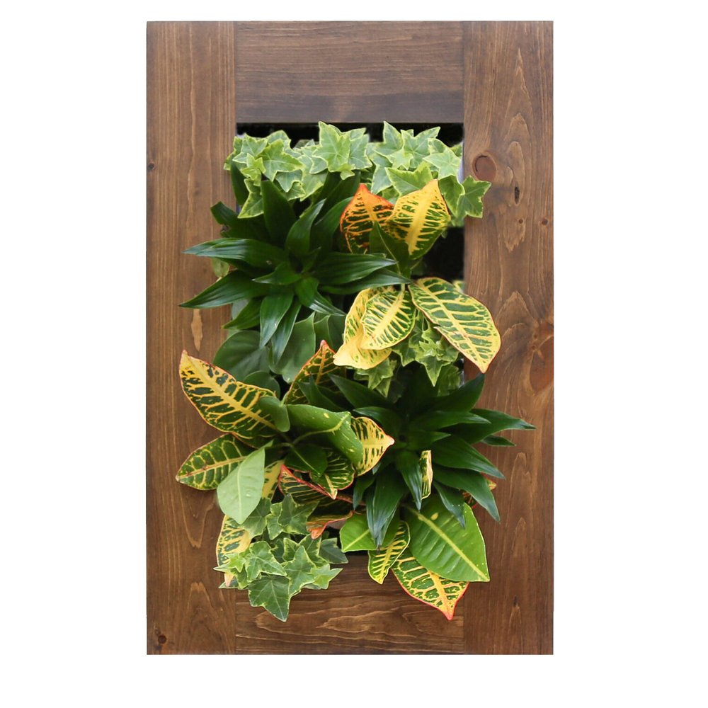 Shop Vertical Garden Growing Systems  Up the Wall Gardens