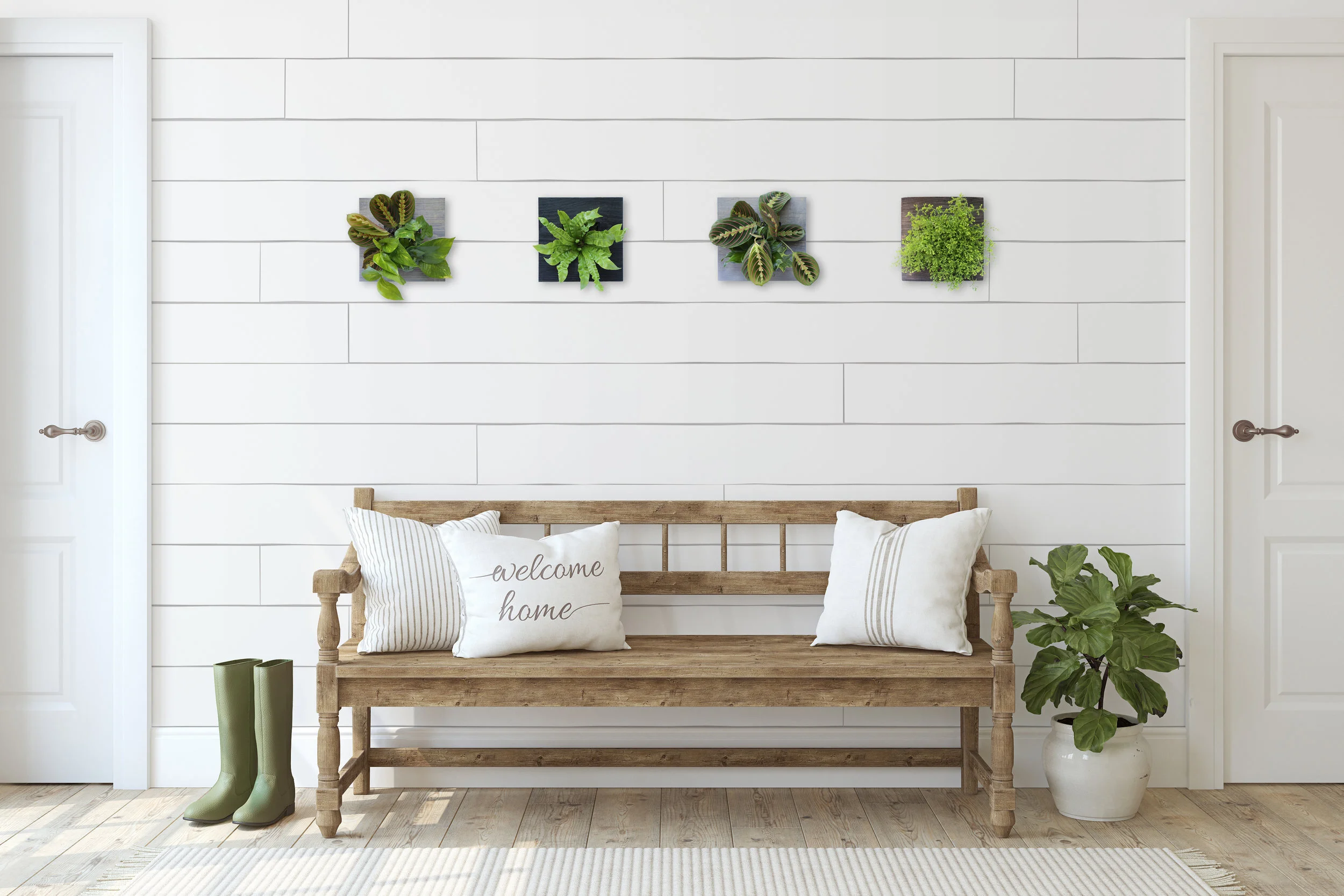 Choosing the Right Indoor Plant Systems for Your Home or Office