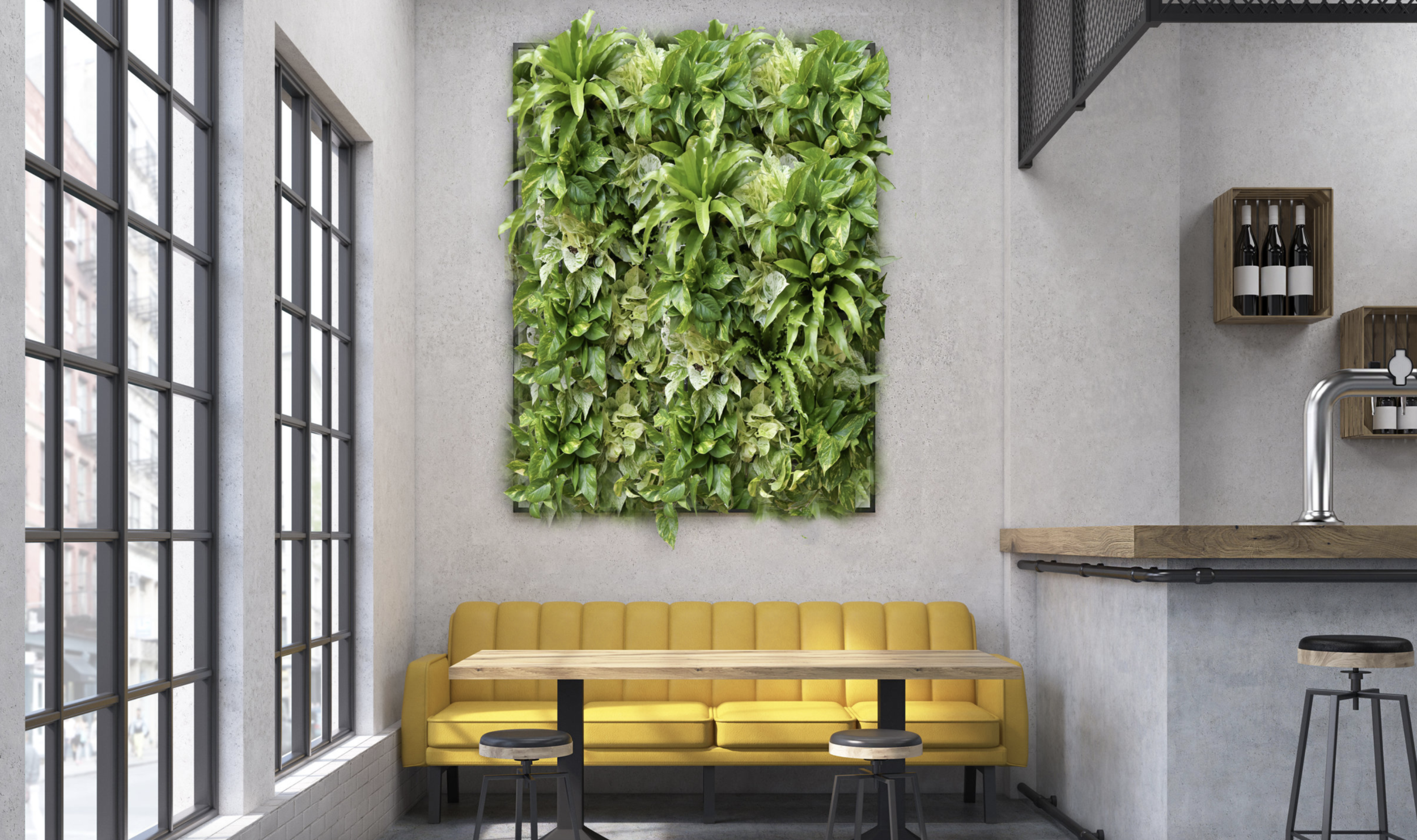 7 Benefits of Pothos Plants Paired with our Grid and Tray System