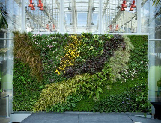Pinterest Inspired Green Wall Ideas to Help Transform Your Vertical Spaces