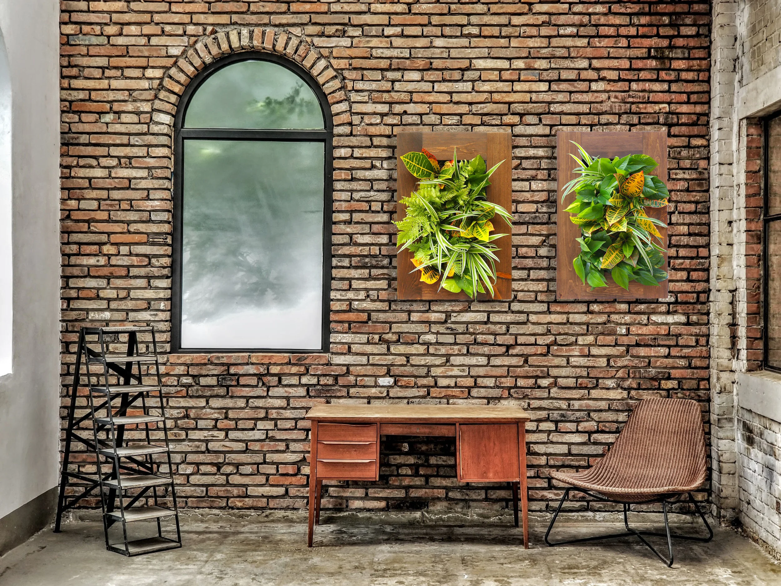 Large and Mini Framed Gardens - Perfect for any space