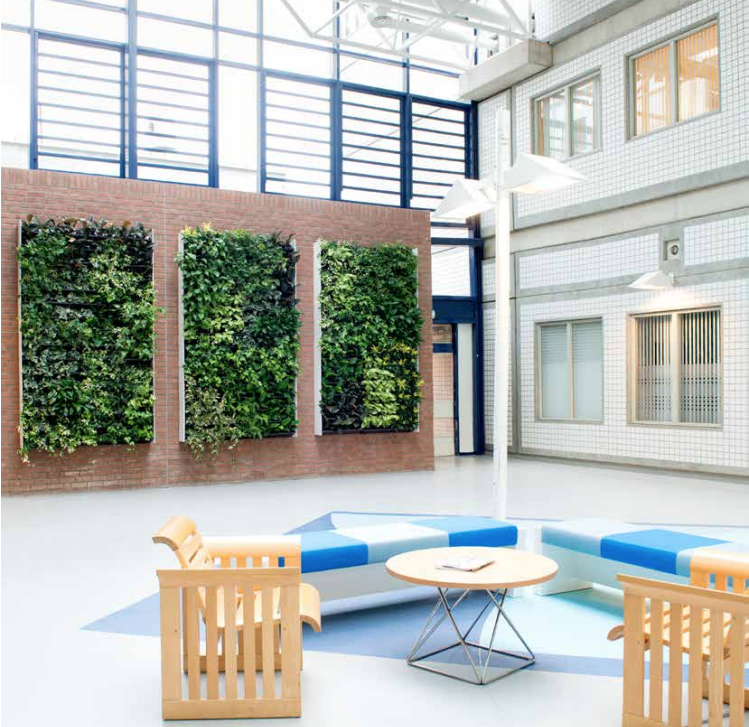 How Vertical Gardens Can Cool down your Space and Reduce Energy Bills