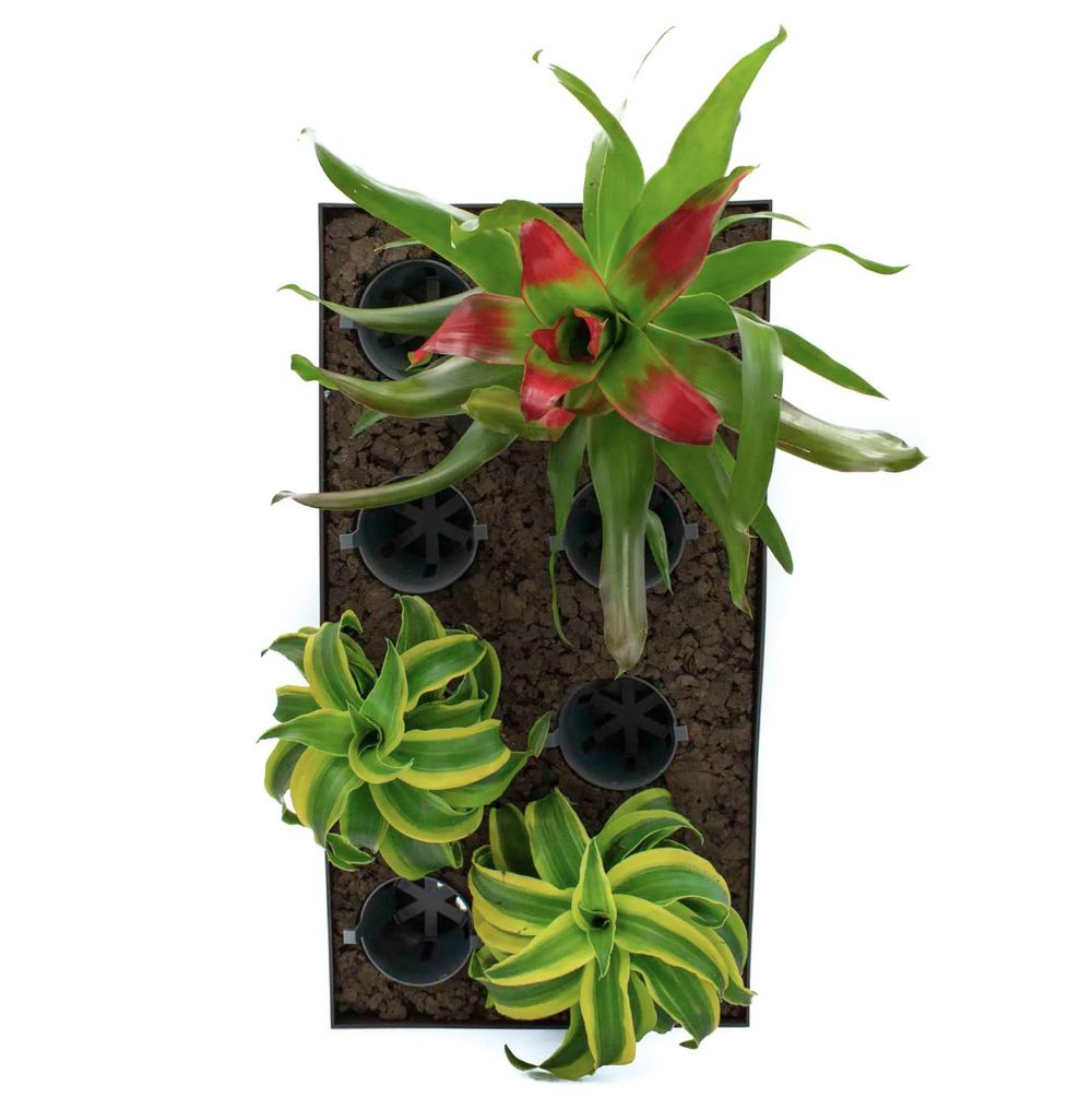 feed plant FEED ME! Time Release Houseplant Food (18-6-8)
