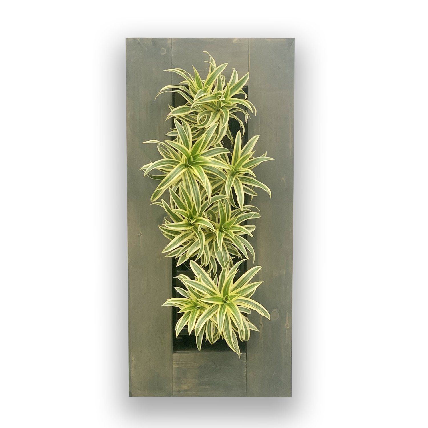 Skinny- Framed NextGen Wall Planter