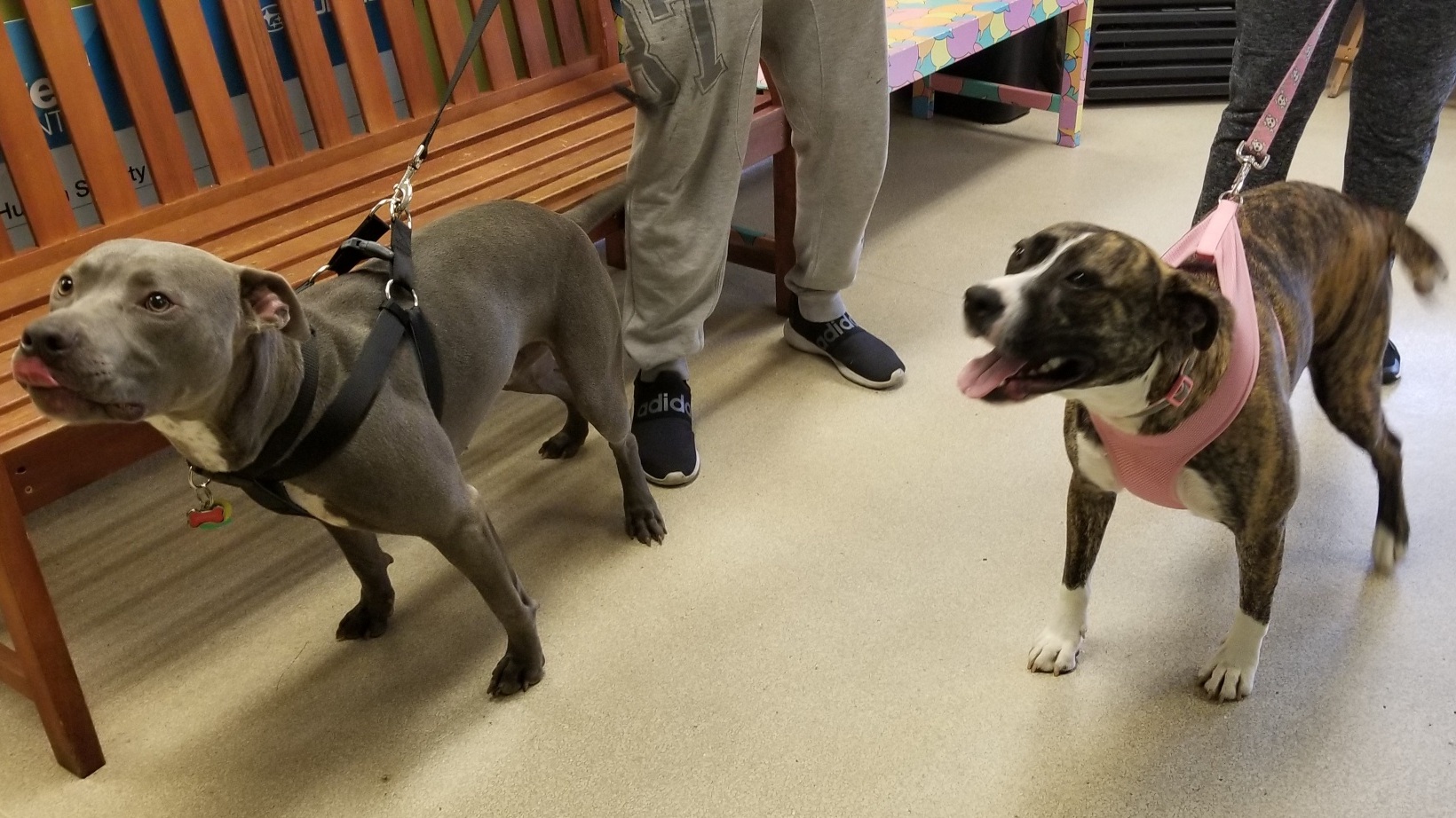kaluna+and+Kobe.jpg