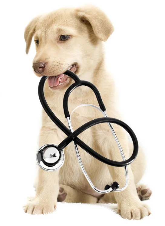 New-Annual-Exam_59663528-Purchased-12-12-14-e1419280762925.jpg