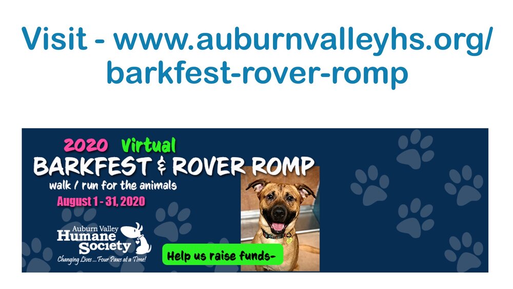 Barkfest Virtual Village — Auburn Valley Humane Society