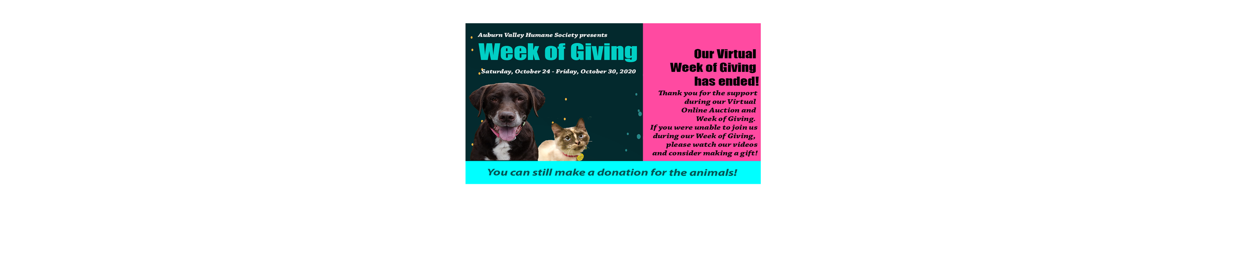 dog donation website