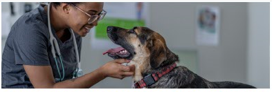 NWSNC Offers Pet Wellness Appointments