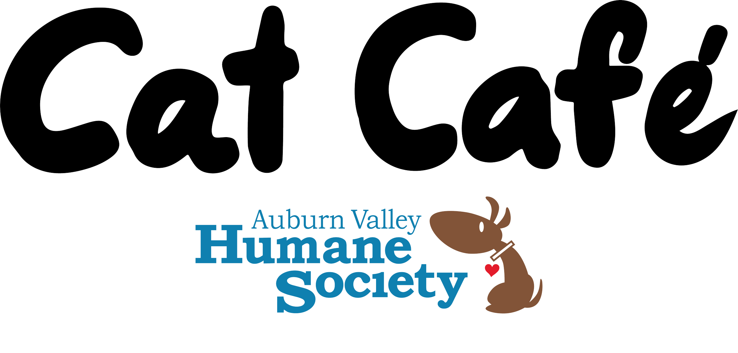 Auburn Valley Humane Society Cat Café