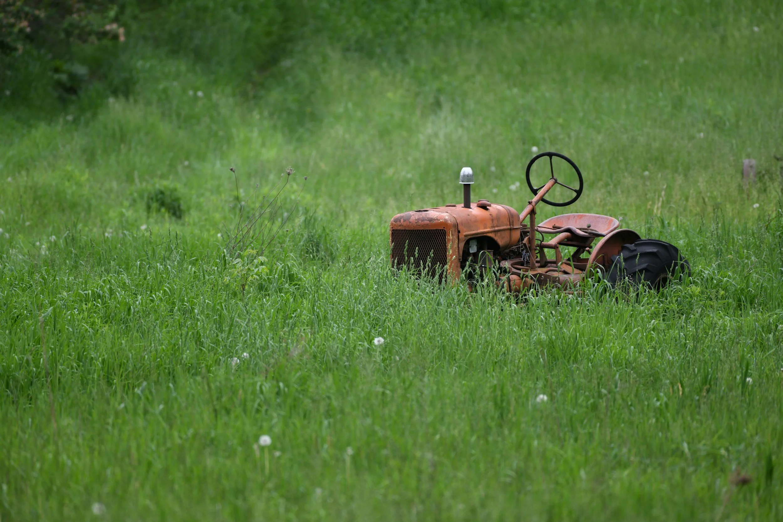 shoulder mowing 