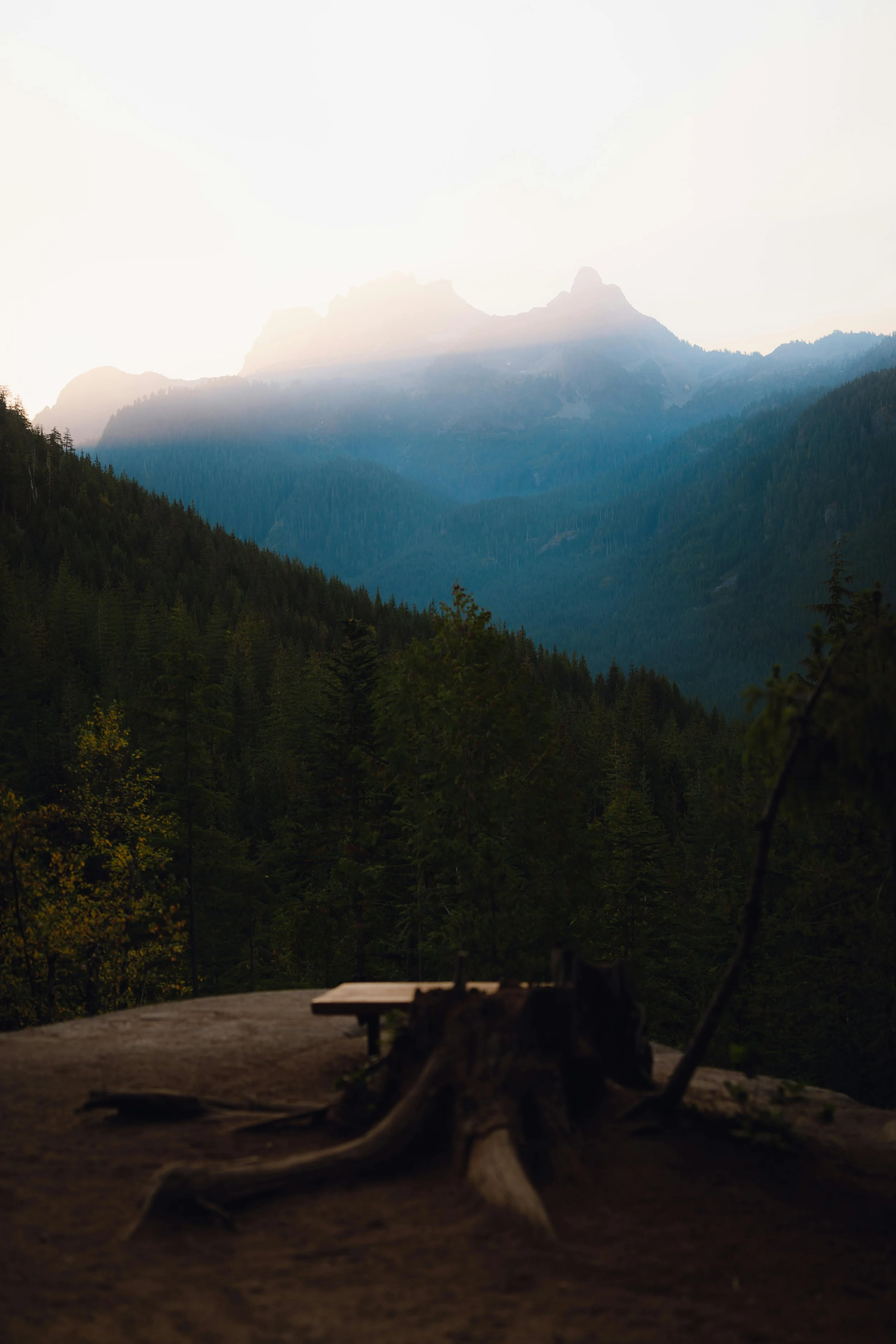Mountains with forested slopes at sunrise or sunset, with a wooden bench and logs in the foreground.