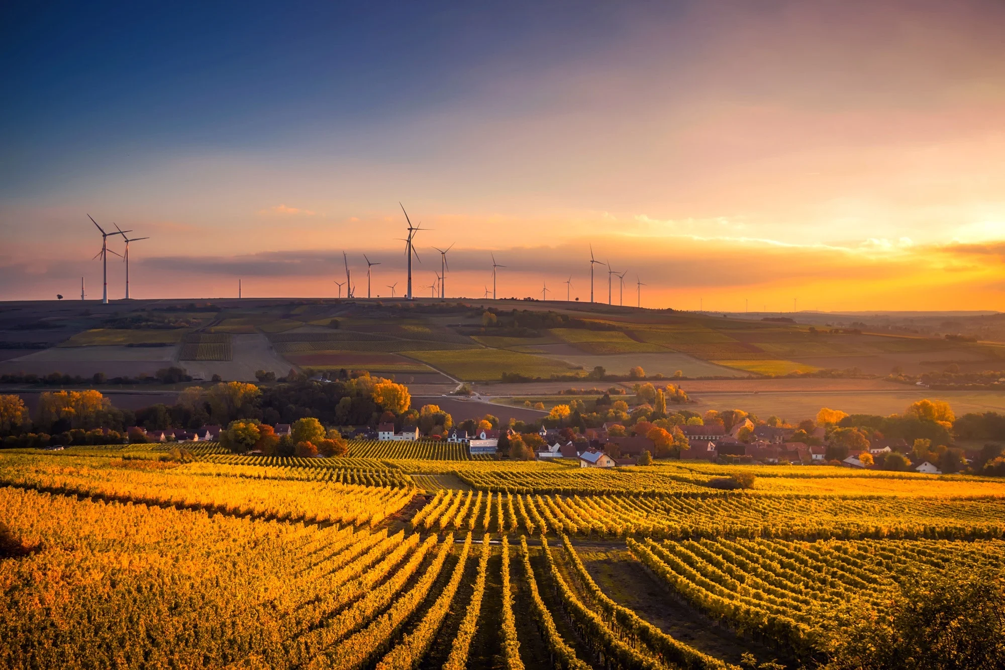 agriculture-beautiful-clouds-325944.jpg