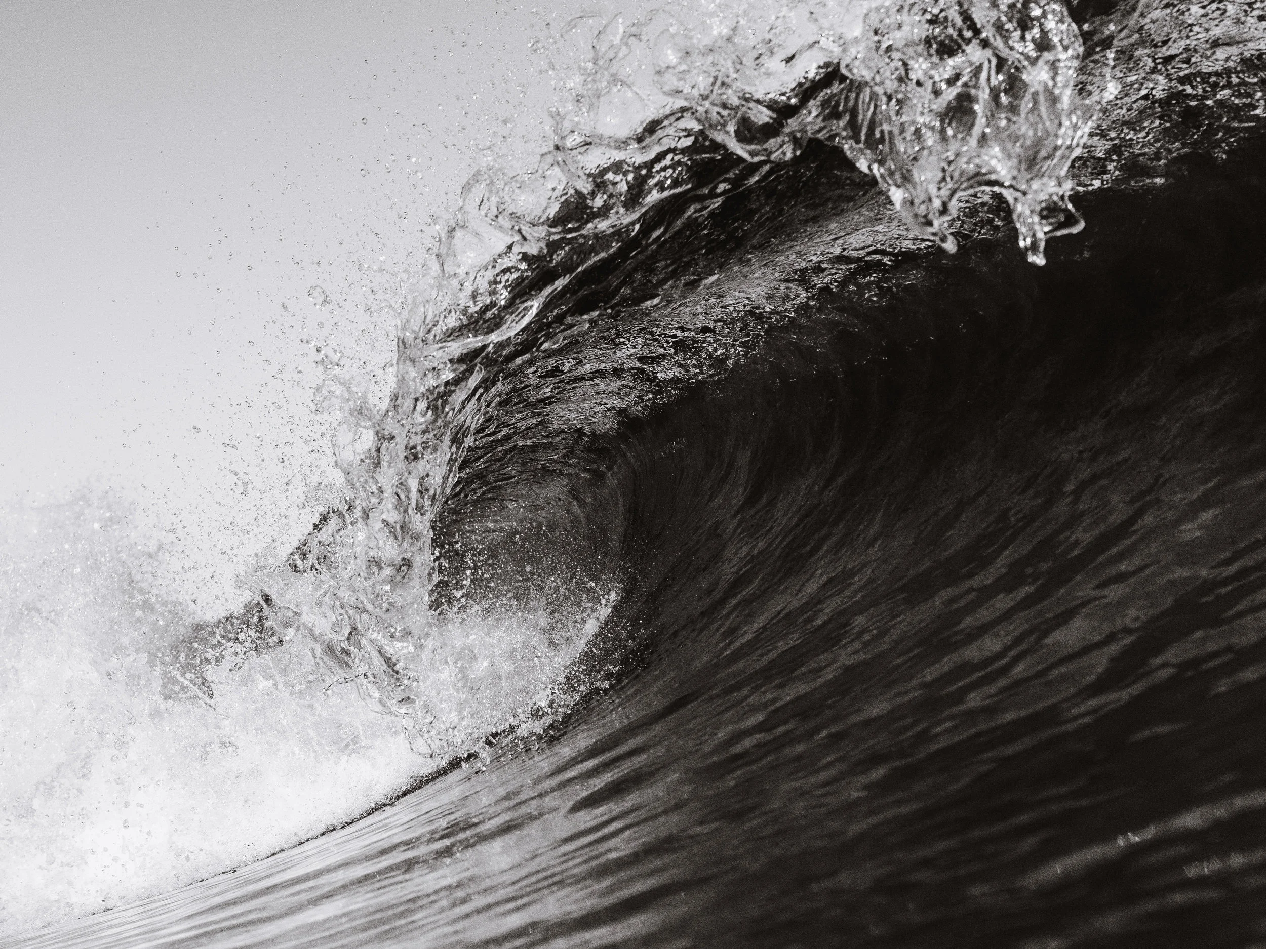 Tsunamis start as a simple wave and quickly grow