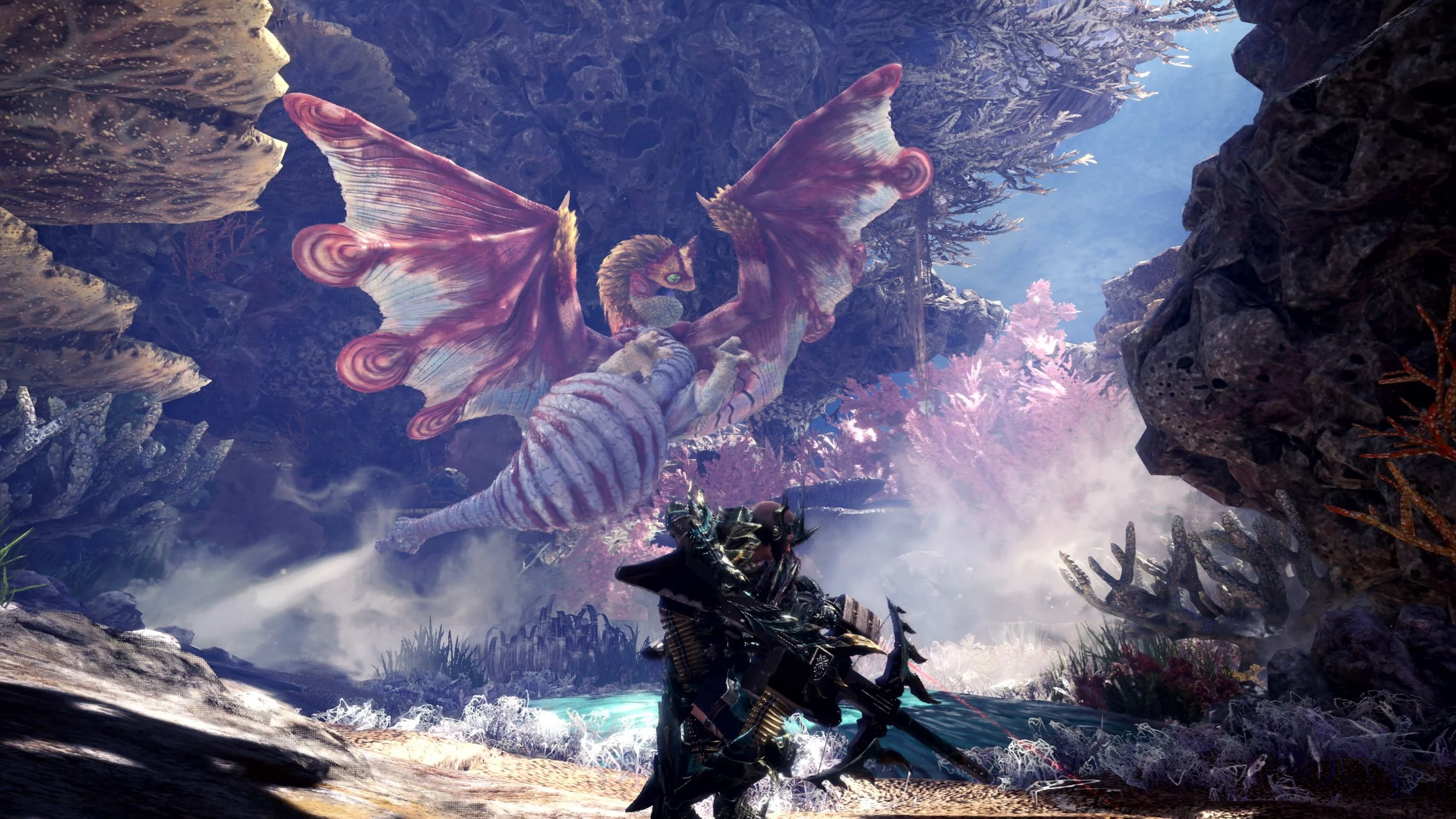 Coral_Pukei-Pukei_bmp_jpgcopy.jpg