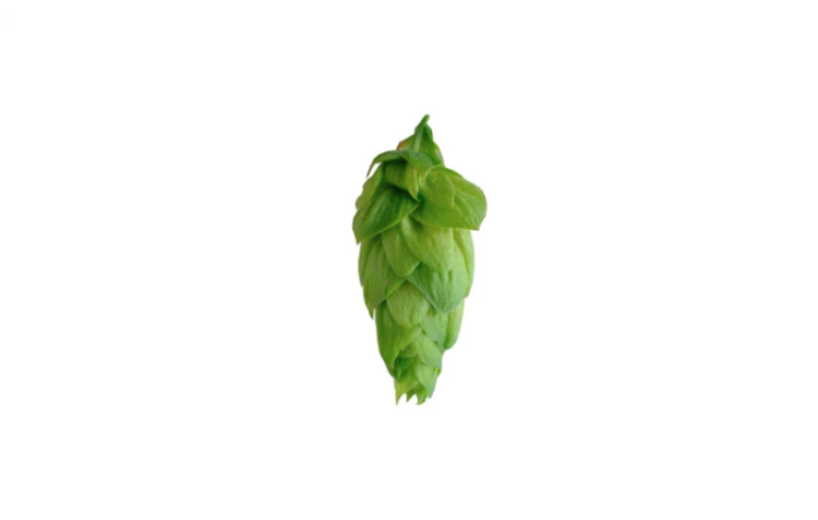 iunga.png