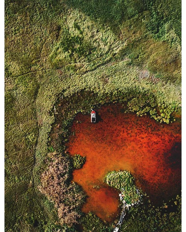 Seen and taken a lot of photos of abandoned boats... but how&rsquo;d this guy get here?
Off topic... we are opening our hearts and life to a new dog, just need to find the right match. The adoption process is challenging and a bit frustrating. Brew h