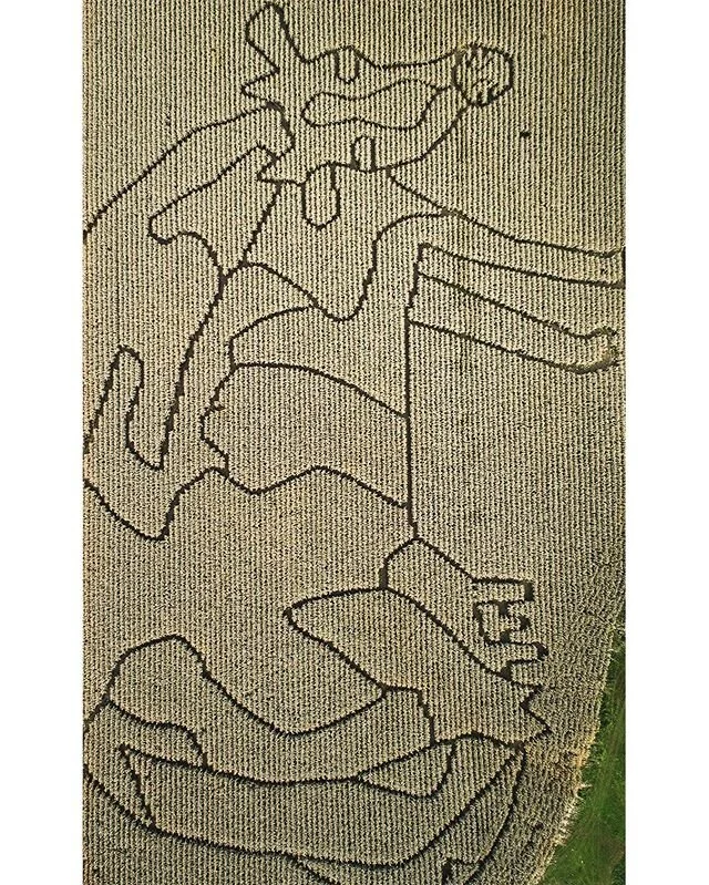 Maybe it&rsquo;s a good time to go through old unposted photos 🙂 Wish I was back up there! @cariboo_corn_maze