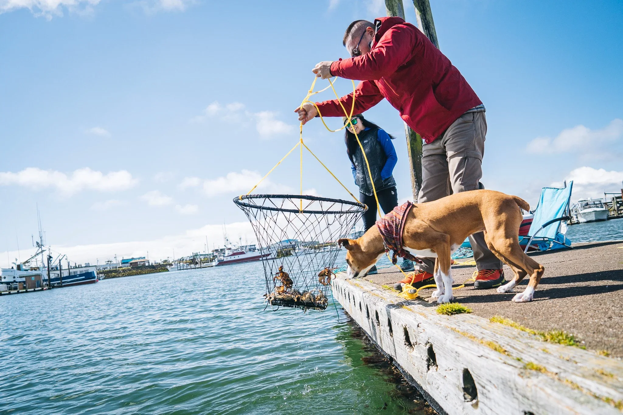 dock_crabbing.webp