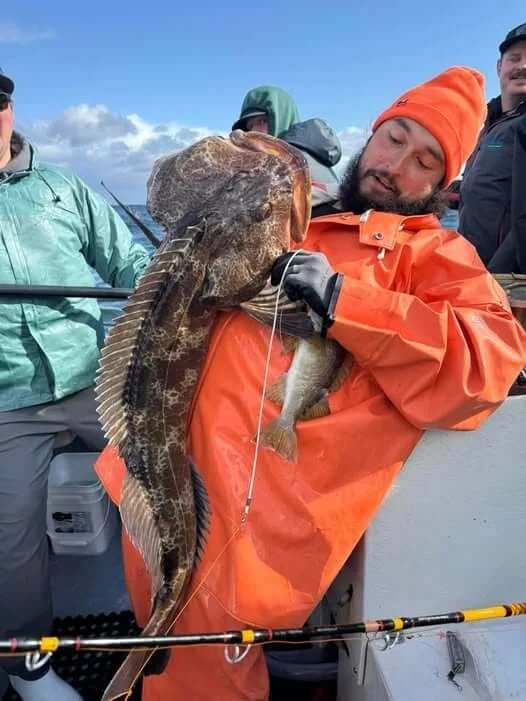 Deckhand wrestling with a big Ling Cod