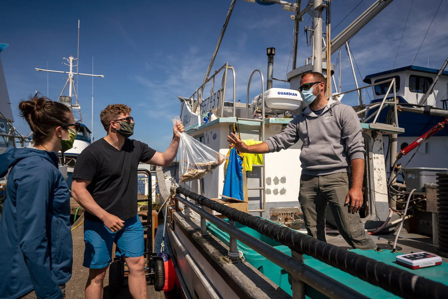 Dungeness Crab — Experience Westport, Washington