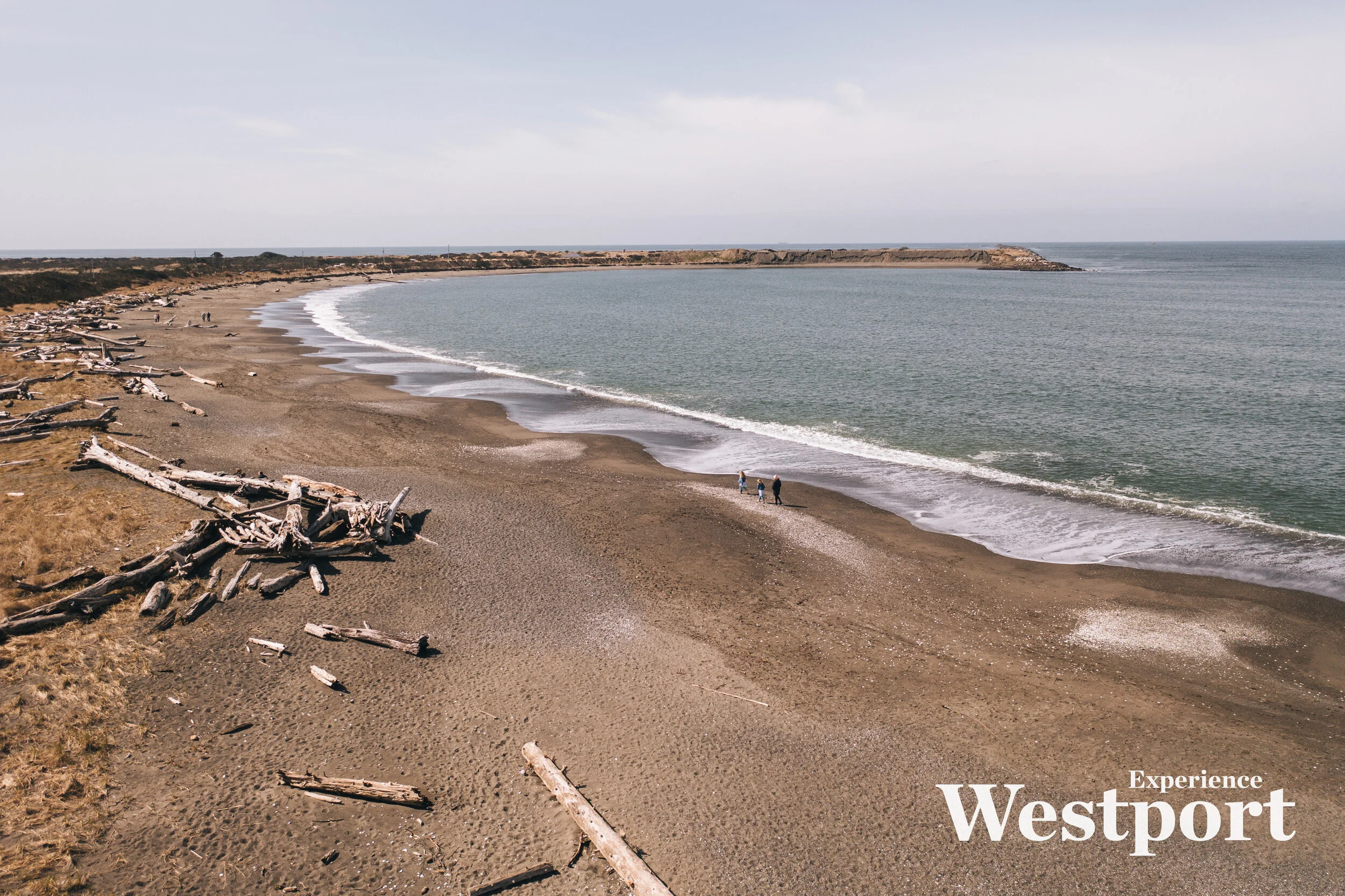 Top 10 KidFriendly Things to Do in Westport, Washington —