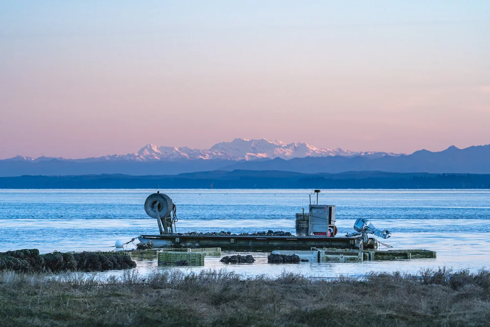 Westport's Fresh Catch Oysters — Experience Westport, Washington