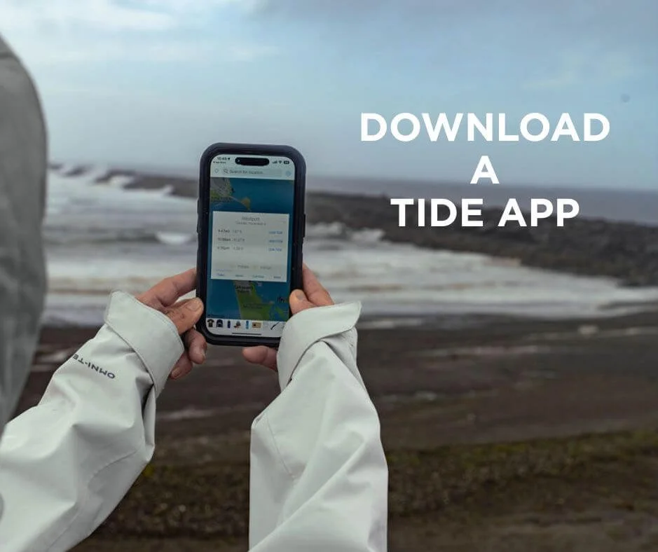Download a tide app