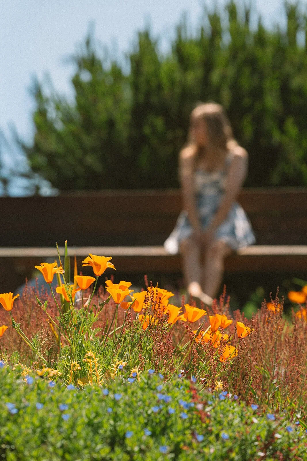 Orange flowers women sitting on bench