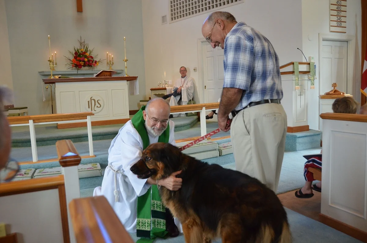 animal blessing 1.jpg