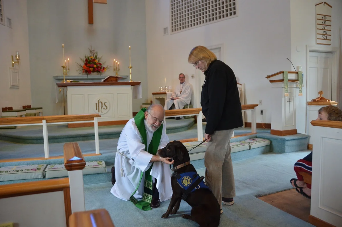 animal  blessing 4.jpg