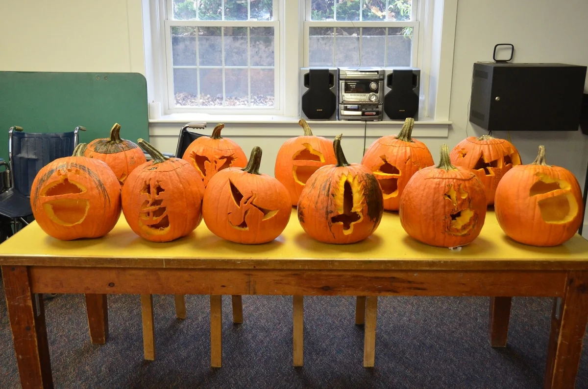 pumpkins 11.jpg