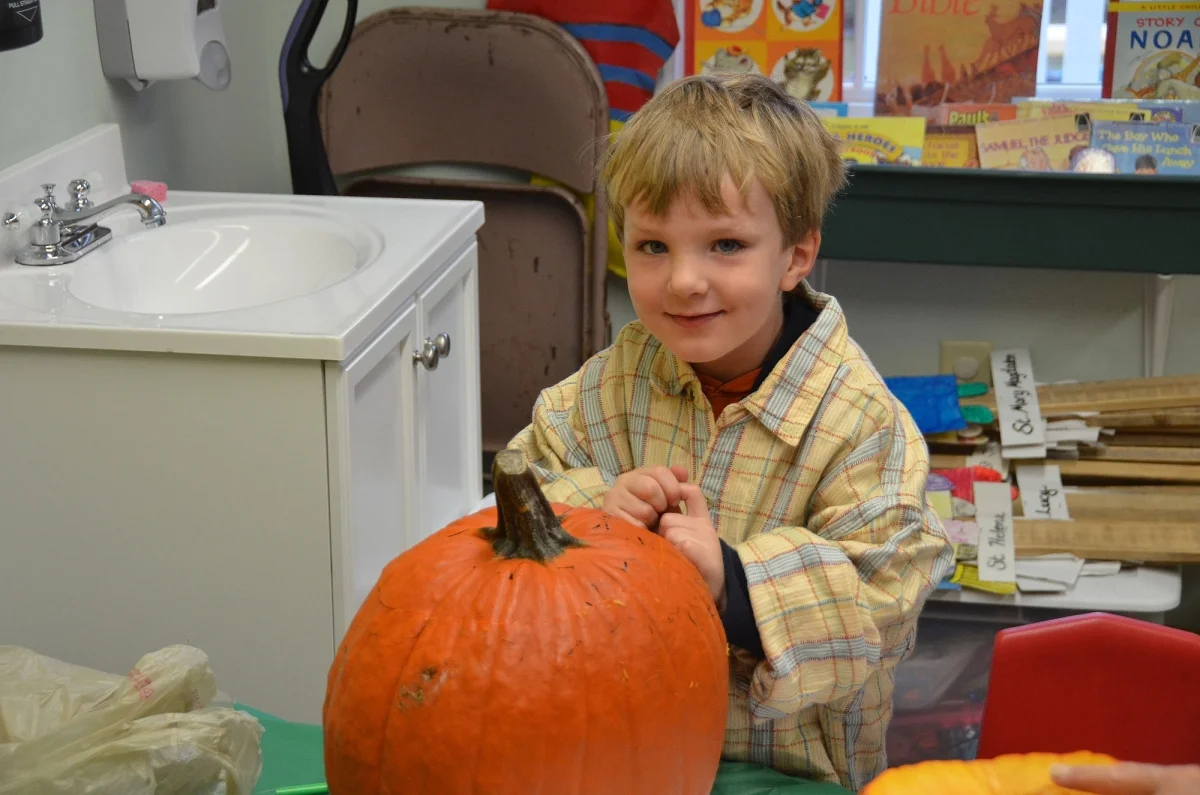 pumpkins 5.jpg