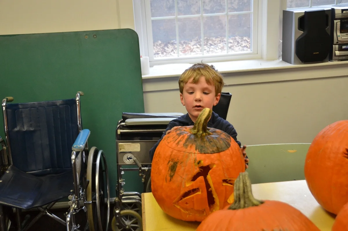 pumpkins 7.jpg