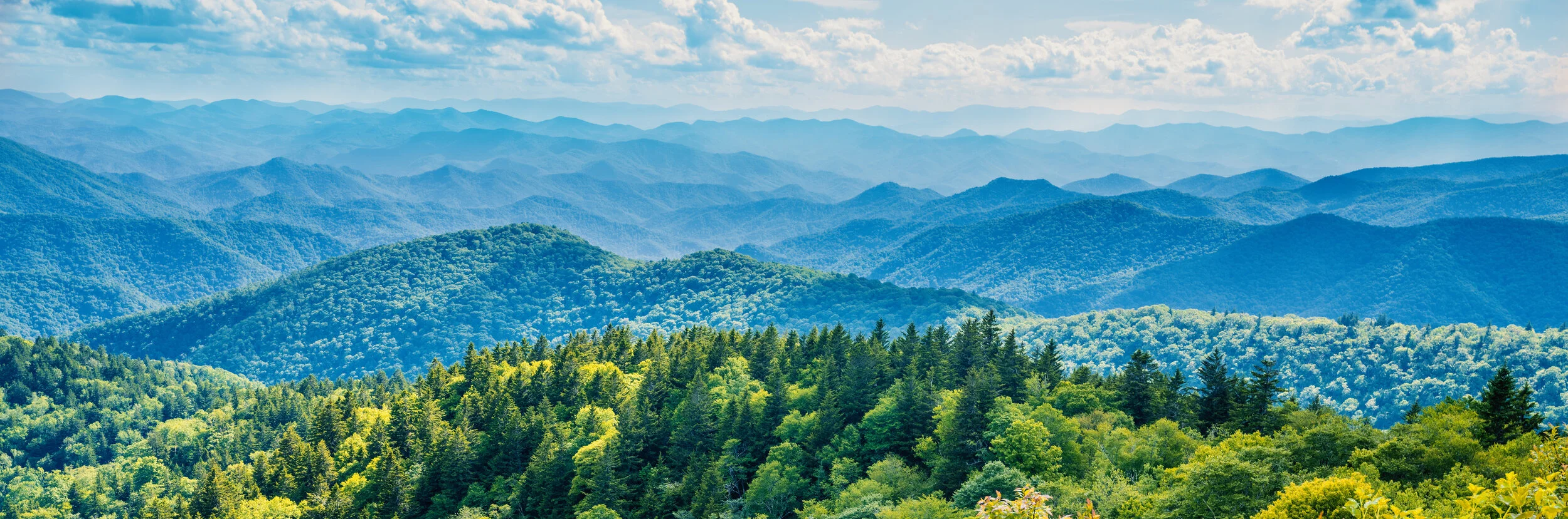 AdobeStock_416810211.jpeg