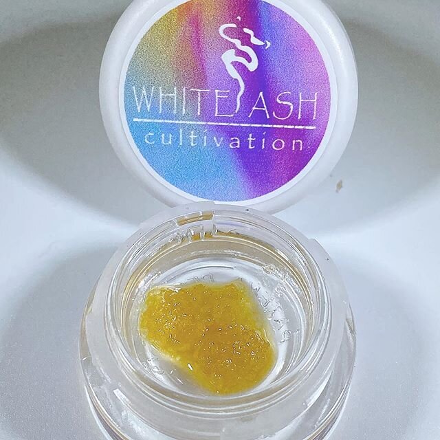 Feeling #grateful for this #beautiful #peyote #critical #blizzos  thank you @white_ash24 #topshelf #livesauce #diamonds #weedshots #resin 
#rosin #blunt #growshop #dabs #stonernation #highsociety #fire #green #highlife #sticky #dank #medicine #cleanc