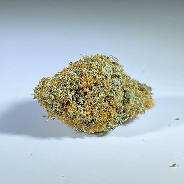 #platinum #alienog #bigbuds #gas #stanks #fuel #gassy #Ganja #indica #Dope #420 #smoke #baked #blazed #stoned #maryjane #bud #lit #nug #thc #tricomes #pot #grass #herbs #growyourown #kush #stinky #topshelf #weedshots #resin