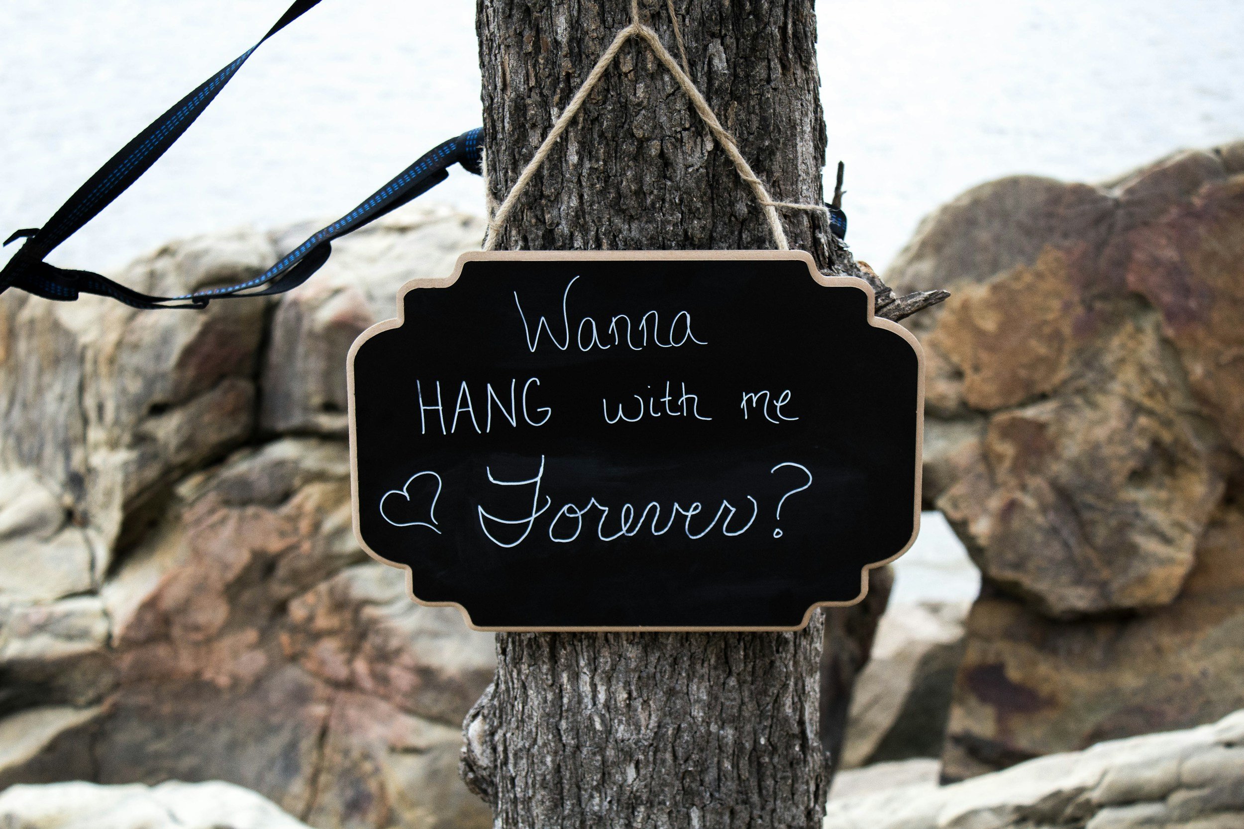 Surprise Proposal Photography Shoots: From "Yes" to "I Do"