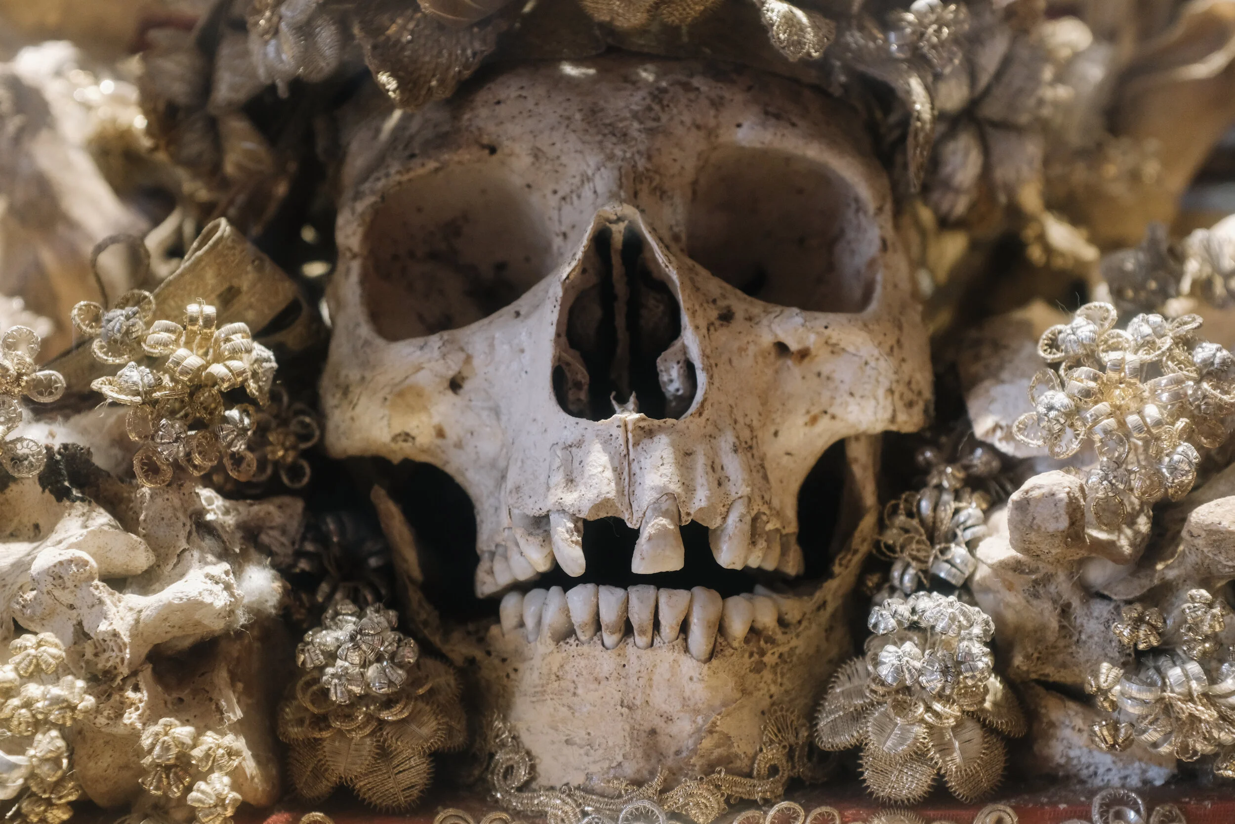 VG_In Progress-2.jpg