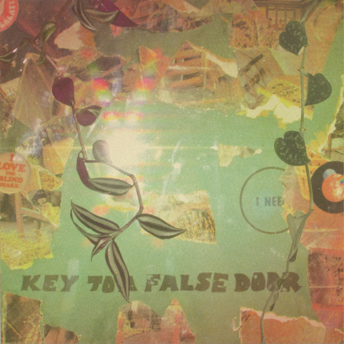 The Blind Shake, Key to a False Door, Castle Face Records.jpg