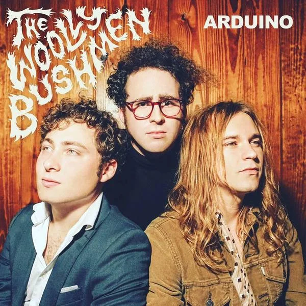 The Wooly Bushmen, Arduino, Pig Baby Records.jpg
