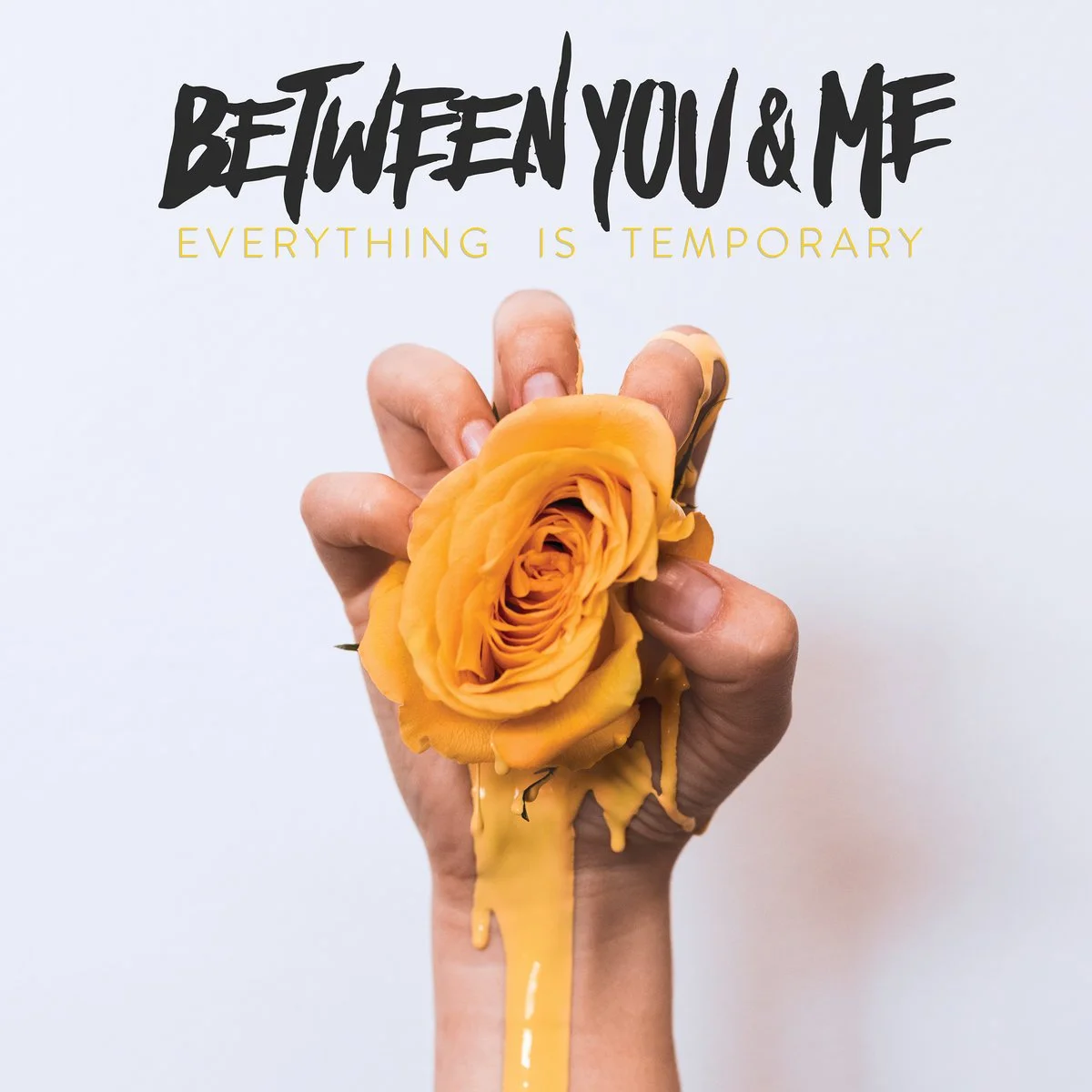 Between You _ Me, Everything is Temporary, Hopeless Records.jpg