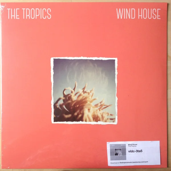 The Tropics Wind Horse.jpg