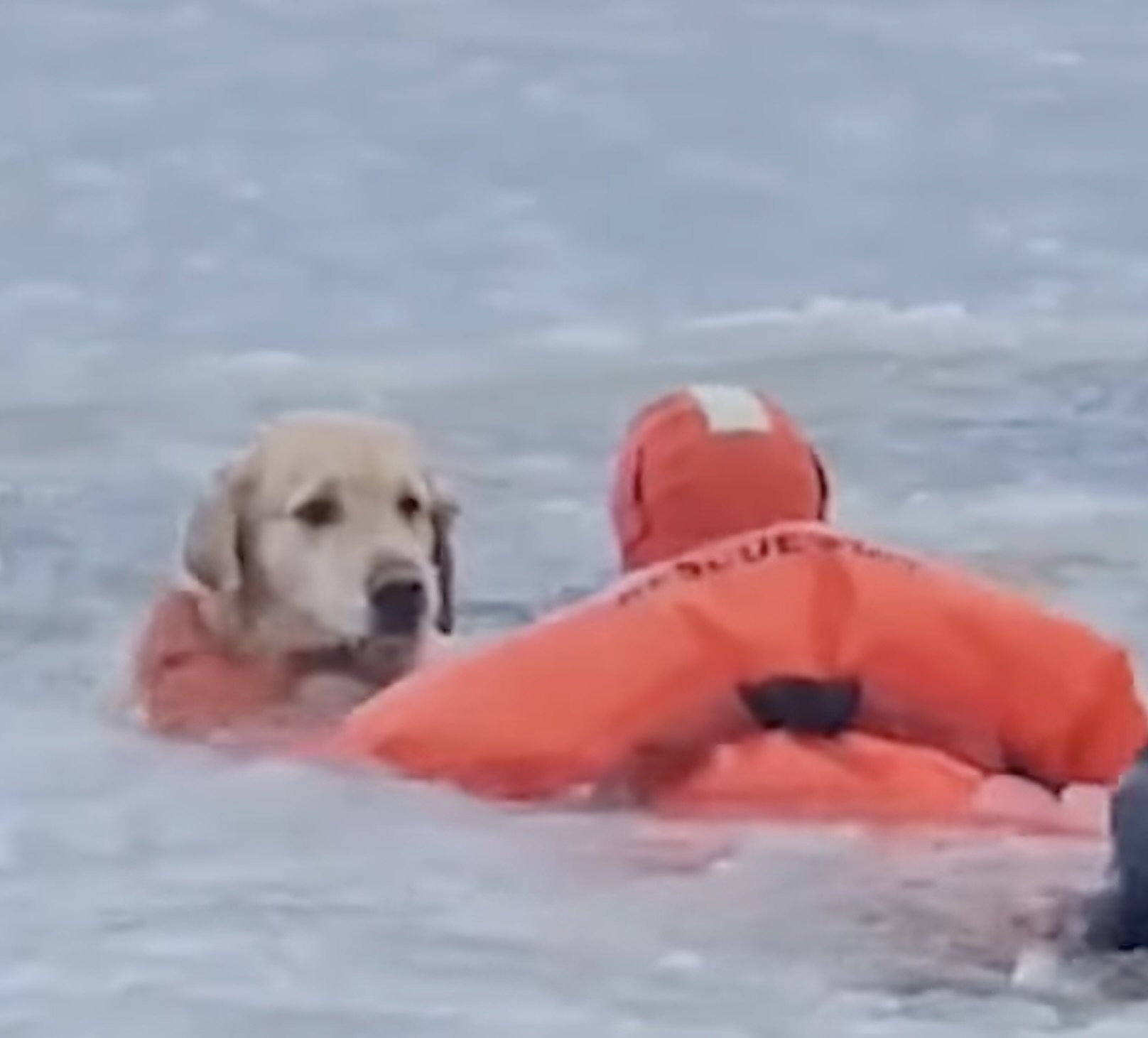 Screenshot 2026-01-19 at 2.36.10 PM.jpeg