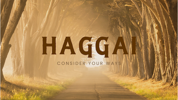 a37 haggai copy.png