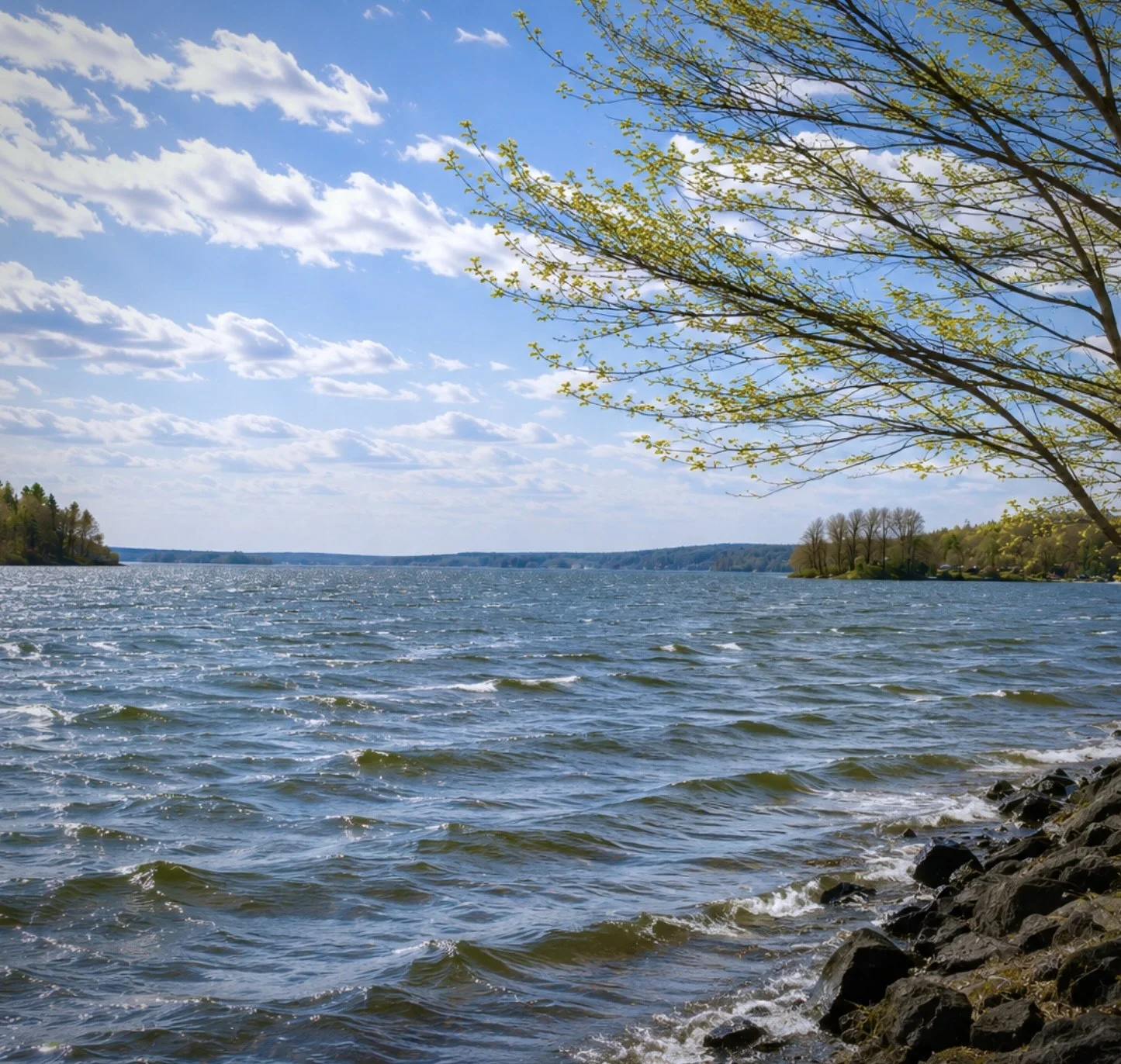 lake2.jpeg
