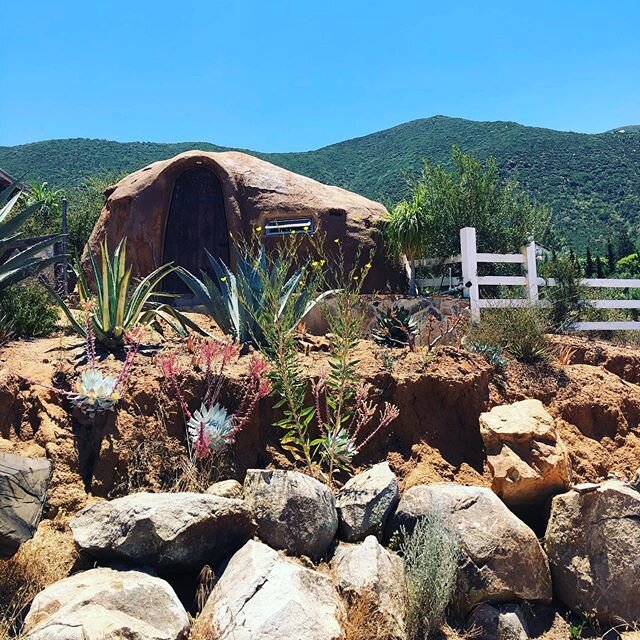 Mexico Vibes! Warm desert air and the songs of nature! #valledeguadalupe